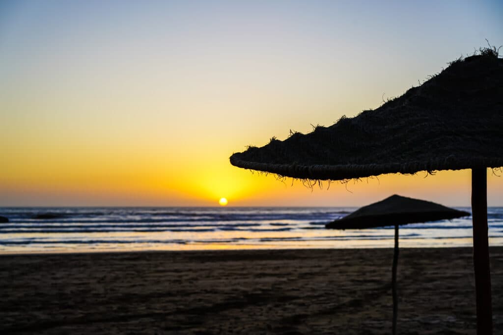 Smaylo Experiences — 74F9877E 525B 40D3 A719 AE62BC13935F